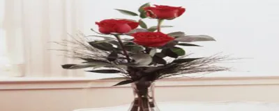 عکس روز