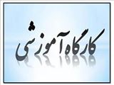 برگزاری کارگاه بیوبانک ها و پژوهش های میان رشته ای