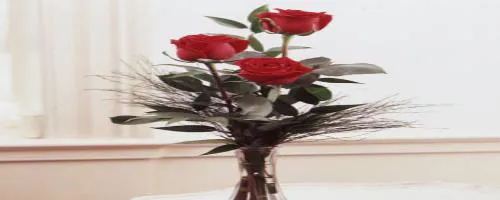 عکس روز
